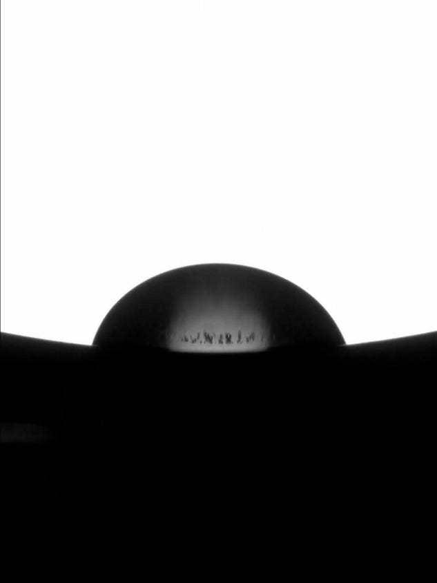 Snímek v gray scale.